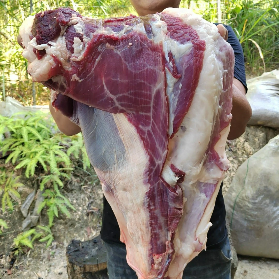 鲜鹿肉（肚腩肉）带鹿皮多 养殖梅花鹿 顺丰冷链包邮 鹿场直发新鲜