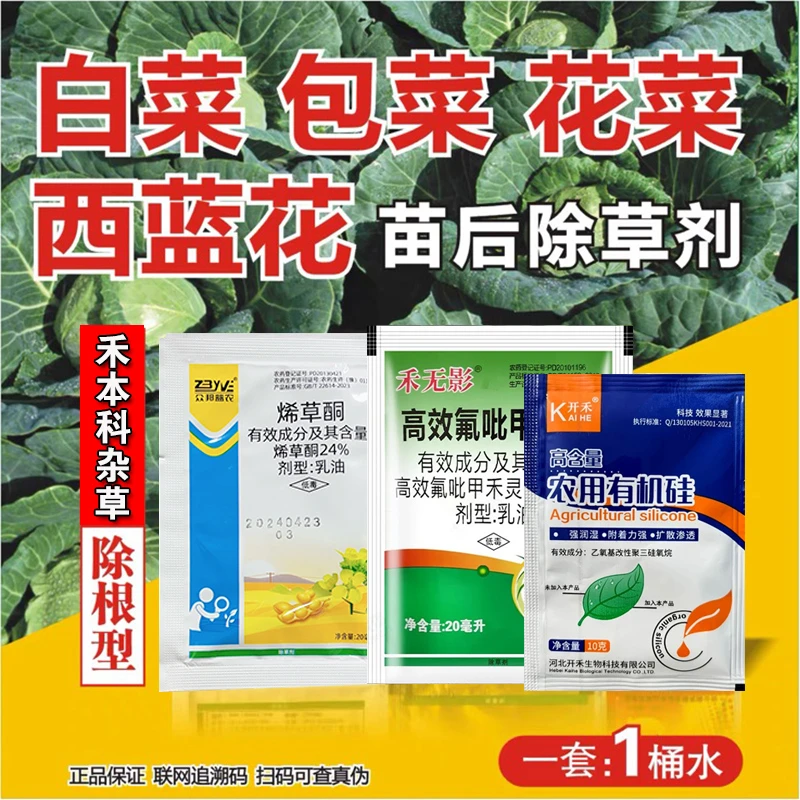 蔬菜苗后除草剂萝卜包菜甘蓝花菜地除草剂除牛筋草烂根白菜除草剂