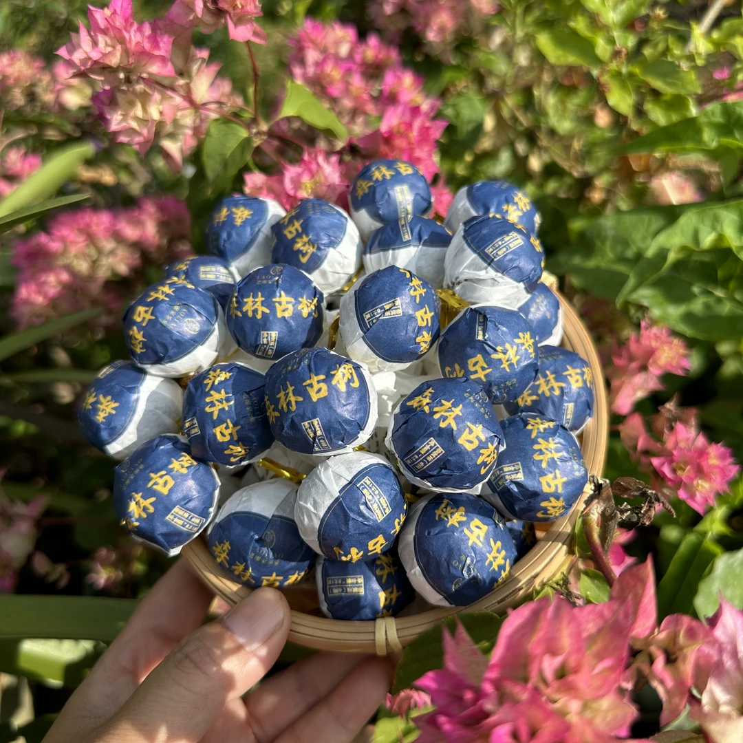 宠粉【昔归】2024年森林高杆古树头春头采（手工龙珠）兰花香韵