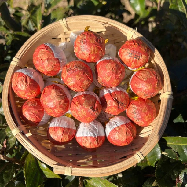 【熟茶龙珠】19年昔归古树手工熟茶龙珠(花香蜜香十足)