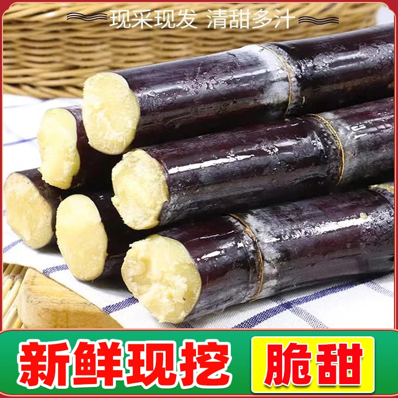 广西黑皮水果甘蔗5/10斤新鲜脆甜多汁批发清甜爽口皮薄精选中段