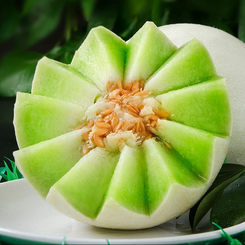 坏果包赔山东玉菇冰激凌甜瓜皮薄 香甜爽口 水润十足多汁好吃新鲜