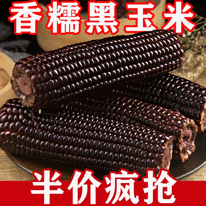 【新人专享】拍8补2共10根装2025年头茬黑糯玉米真空包装220g以上