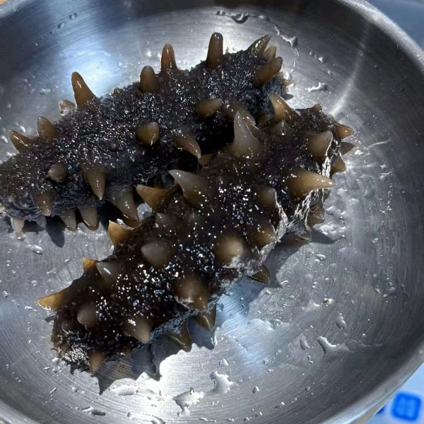 大连即食海参 2斤装 开袋即食