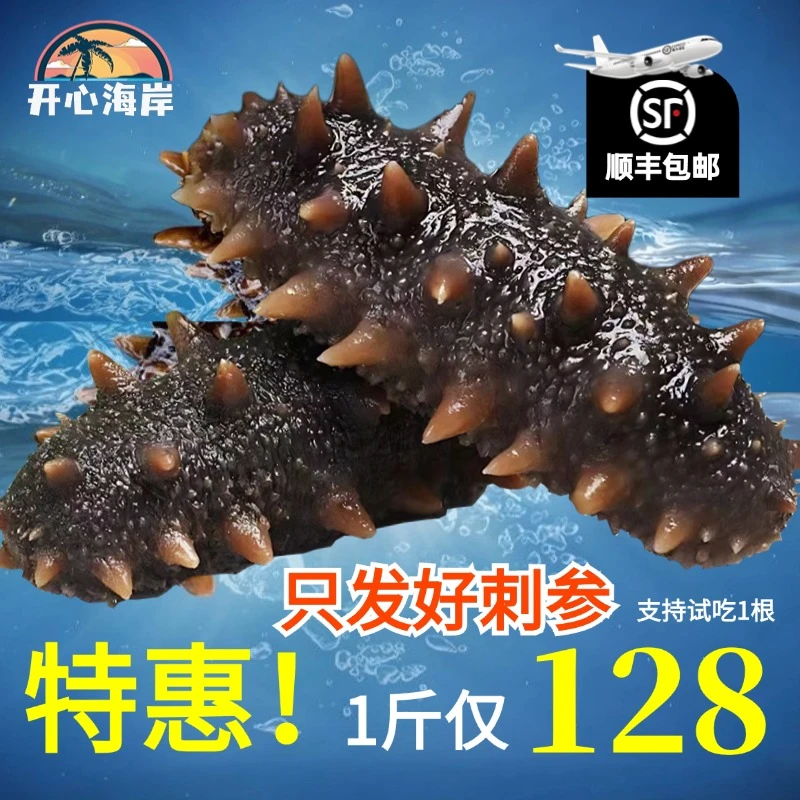 【特惠1天】正宗辽刺参即食海参肉质厚实口感Q弹【无冰】1/2斤（SH8）