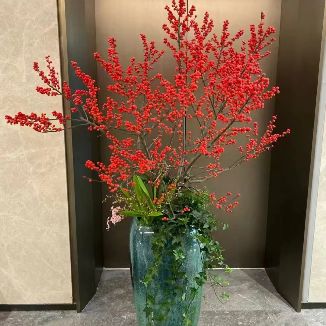 【北美冬青】红树果发财果室内阳台家居办公室高端花材盆栽昆明基地