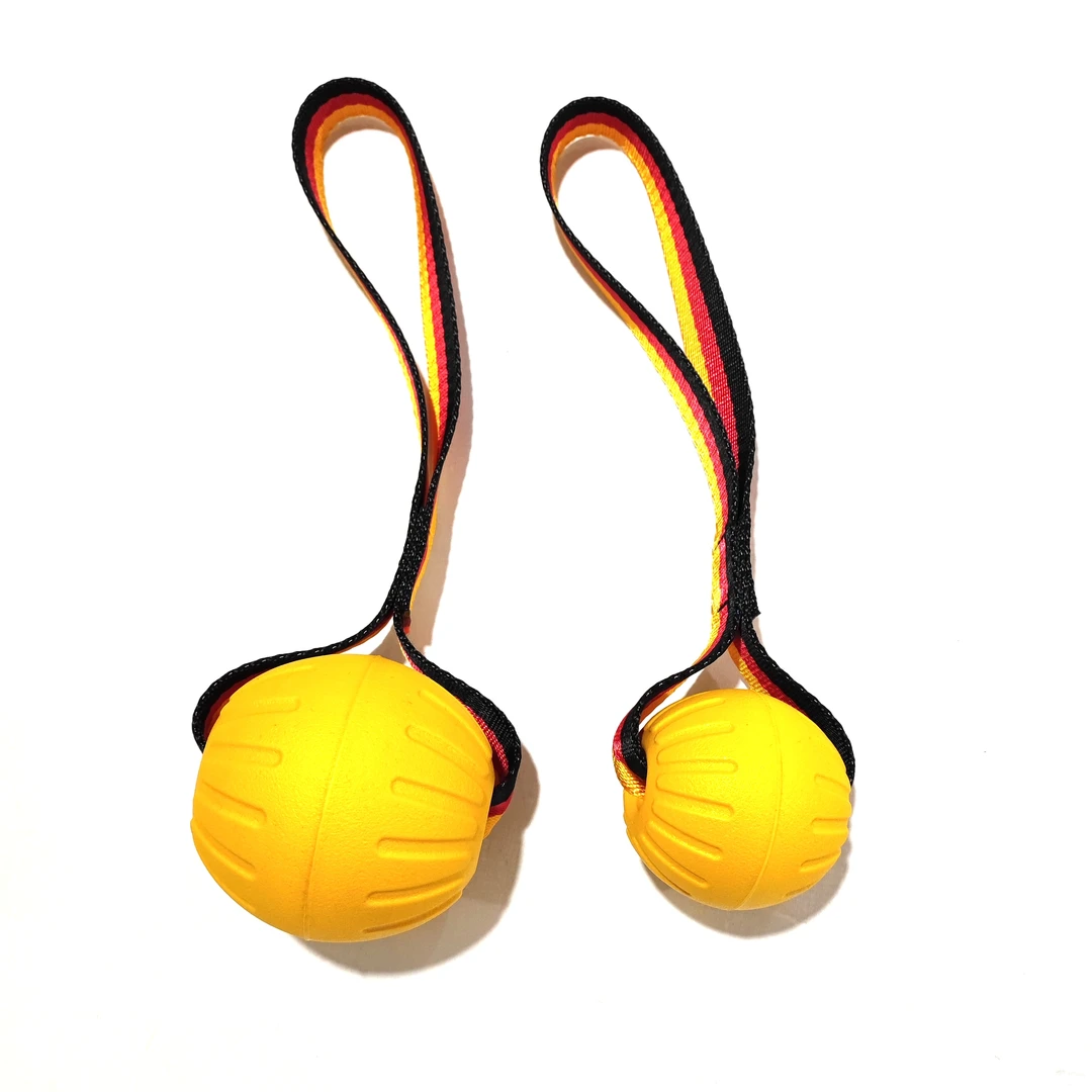 RAMA DOG狗狗玩具球宠物用品训犬球耐咬浮水球拉环边牧金毛绳球