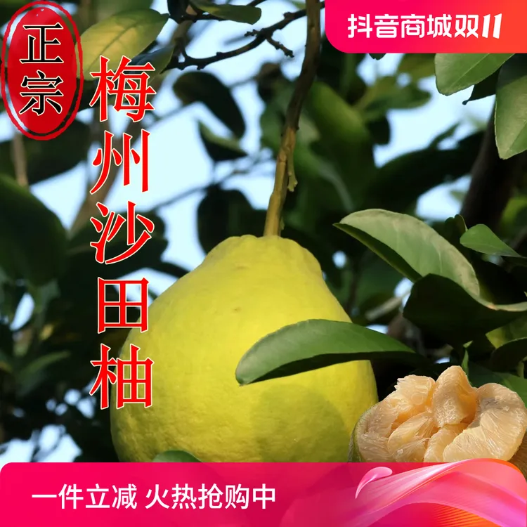 【纯甜无酸】正宗梅州沙田柚金柚批发30年高山老树果原产地直发