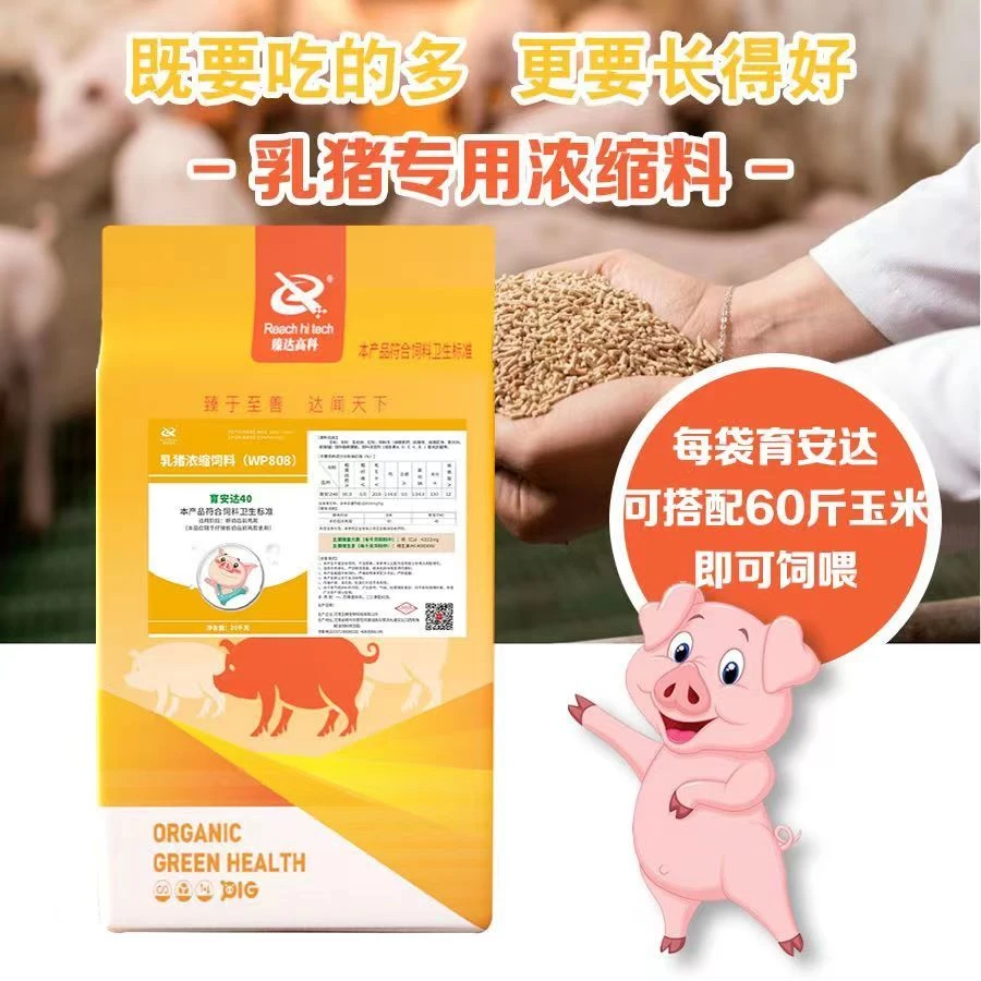 乳猪专用浓缩料仔猪保育料适口性好进口鱼粉高蛋白高氨基酸浓缩料