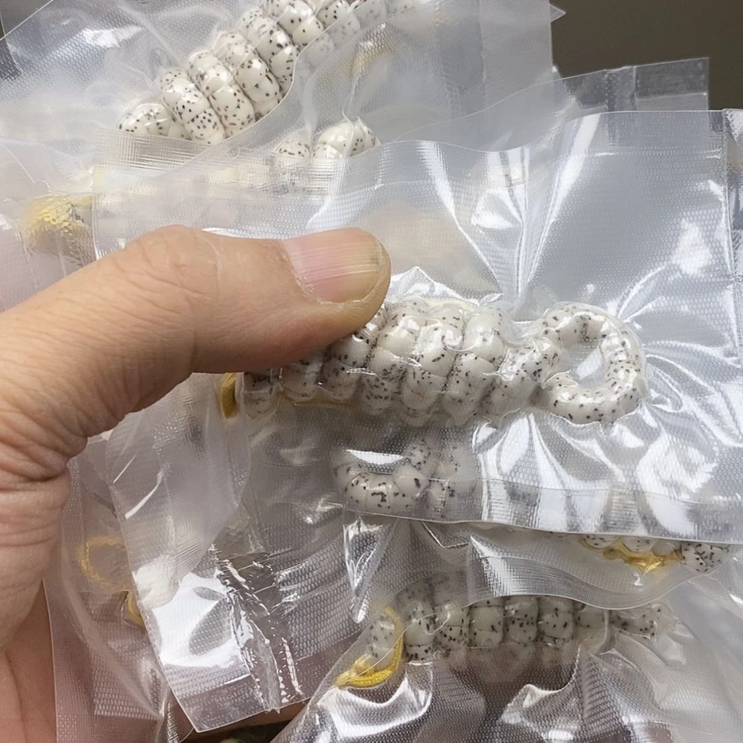 【闪购商品】星月菩提吊坠29.9原白大肠6