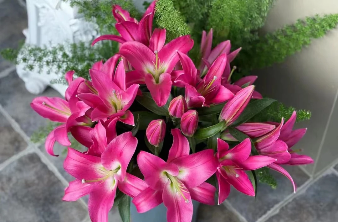 竞争红色百合，浓香型，东北鲜花基地直发