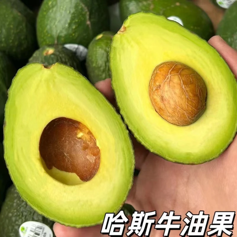 【粉丝专属】新鲜秘鲁进口哈斯牛油果应季水果买8个送1个