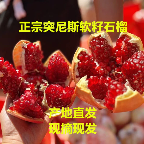 【产地直发】四川会理正宗突尼斯软籽石榴香甜可口爆汁新鲜采摘