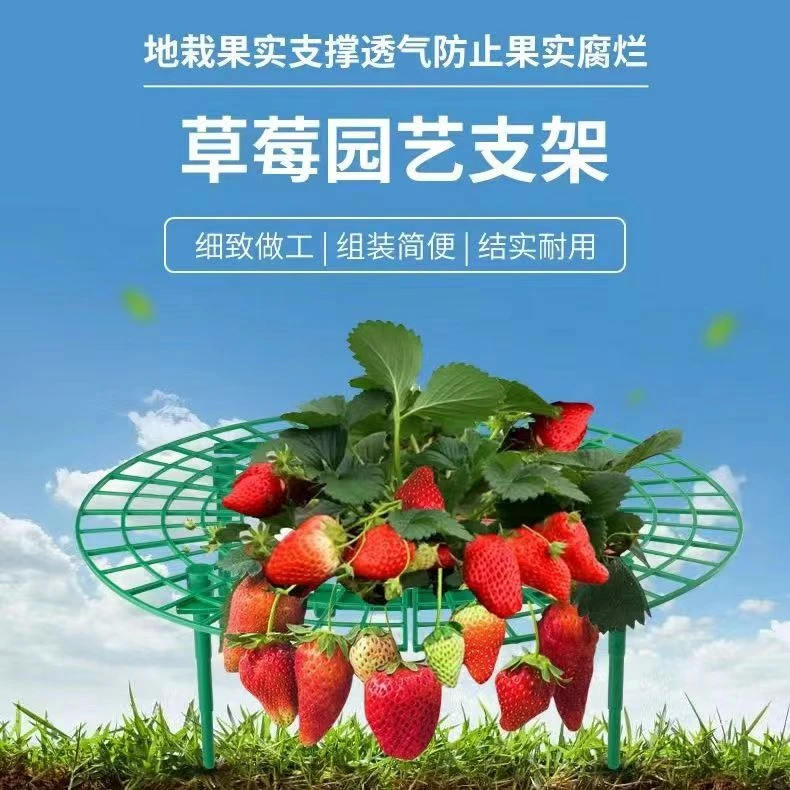 家庭种植草莓托盘花架防腐烂防倒草莓支撑架园艺草莓