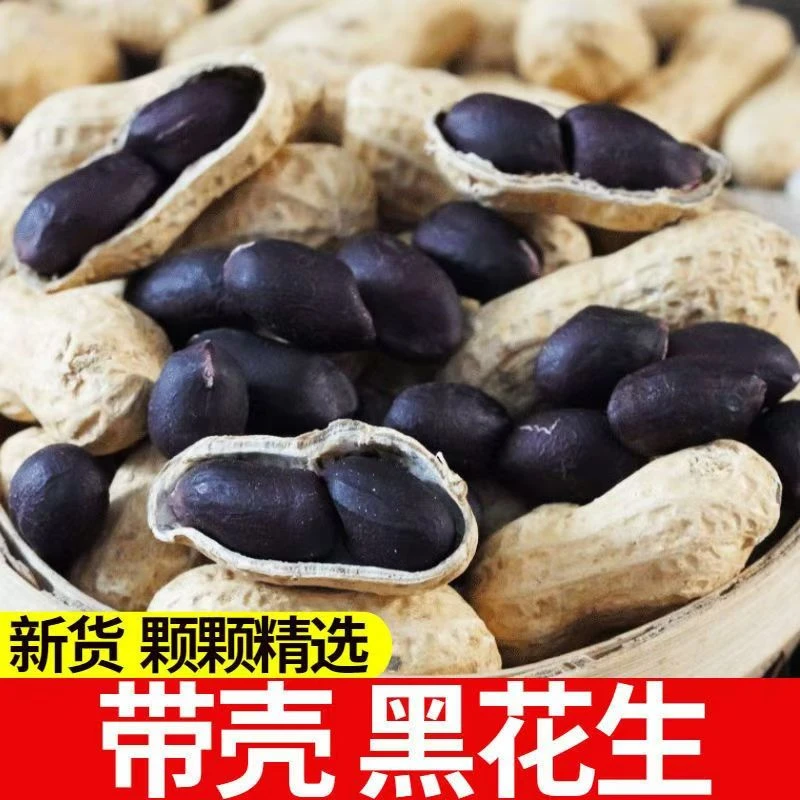 疯抢黑皮花生2025农家自种带壳生吃甘甜自然晒干垫江包家镇土特产