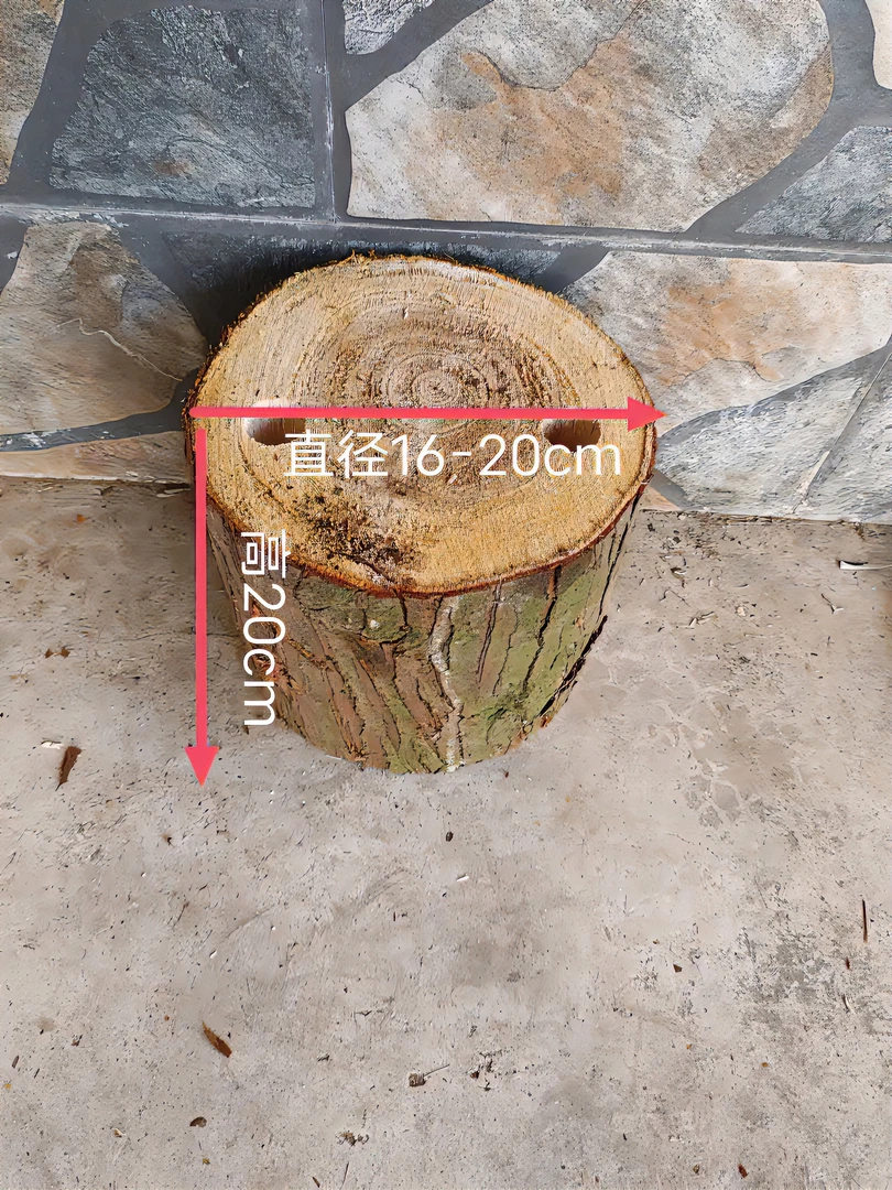 大杉木桩（用于种植石斛兰附生植物）