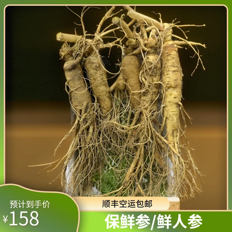 顺丰空运包邮长白山种植人参新鲜人参一斤5根现挖现卖送灵芝