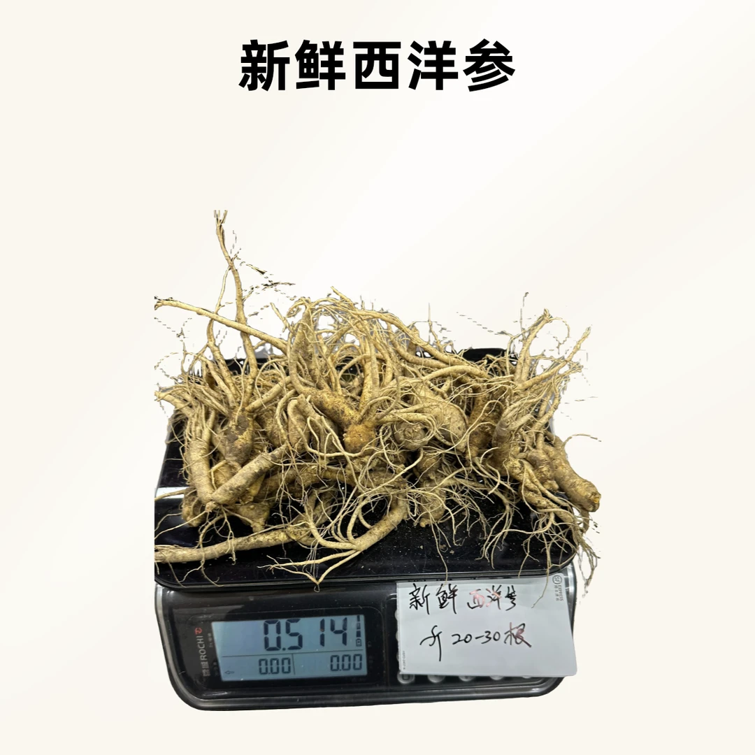 长白山新鲜西洋参产地直发源头厂家（250克）15根左右包邮自产自销