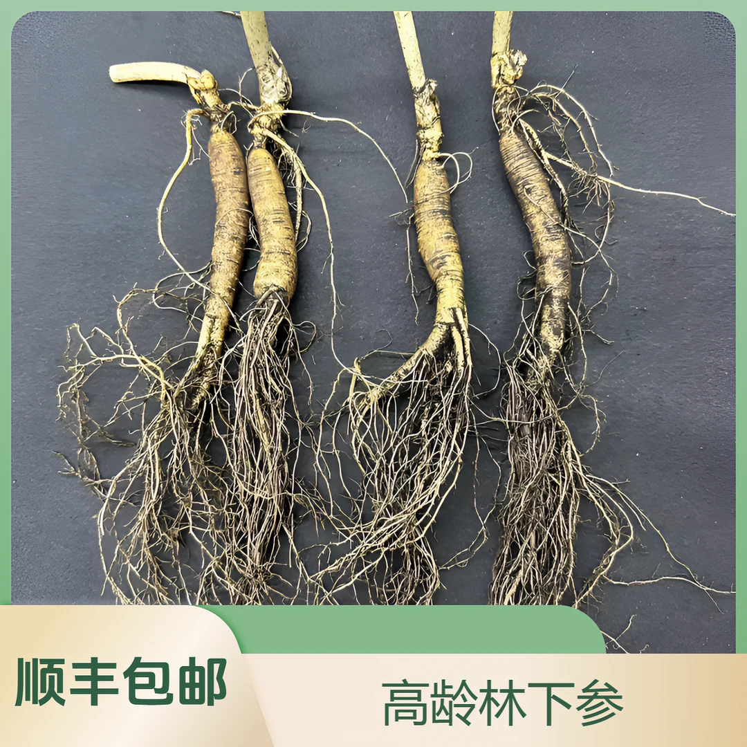 顺丰空运包邮林地种植新鲜人参5根60-70克适合自己家吃经济实惠