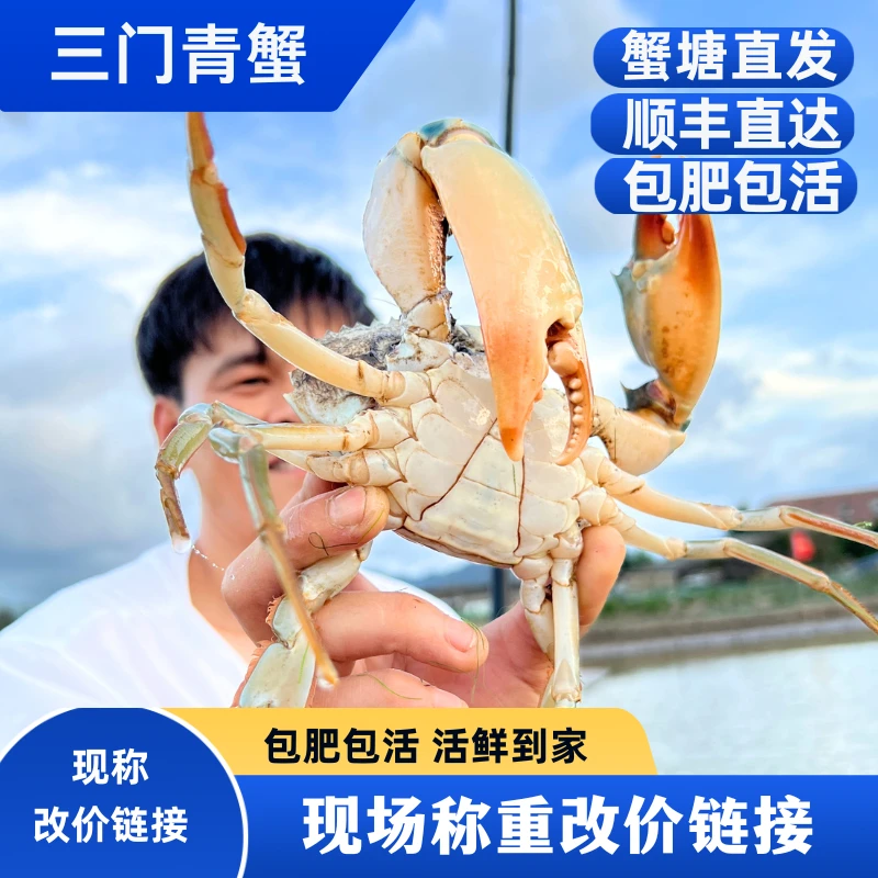 【2现称改价】三门青蟹膏蟹肉蟹奄仔蟹（不要放冰箱）生鲜新鲜肉质嫩