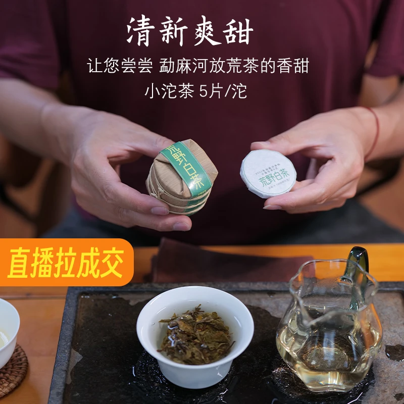 2022年荒野白茶 小薄饼 迷你小沱茶萌饼 云南勐麻河大树白茶40克