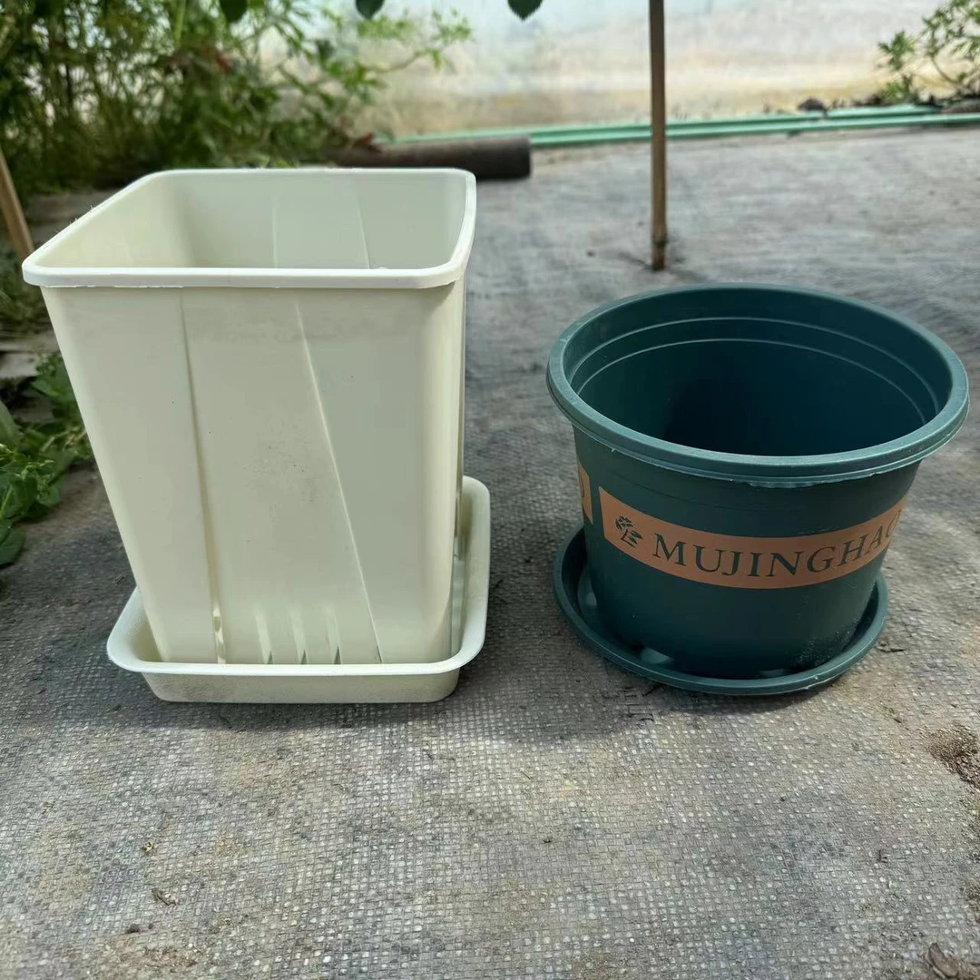 一加仑花盆带托盘 5套装/10套装 郁金香月季绿植小苗专用移栽盆