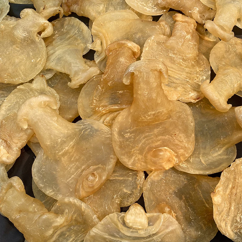 石肚 鱼胶花胶滋补品 糯口