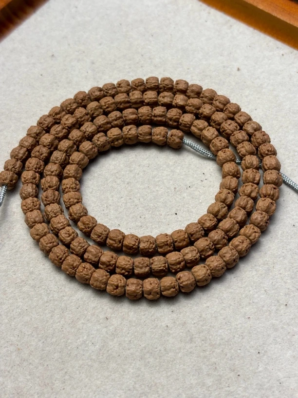 藏式佛手小金刚菩提