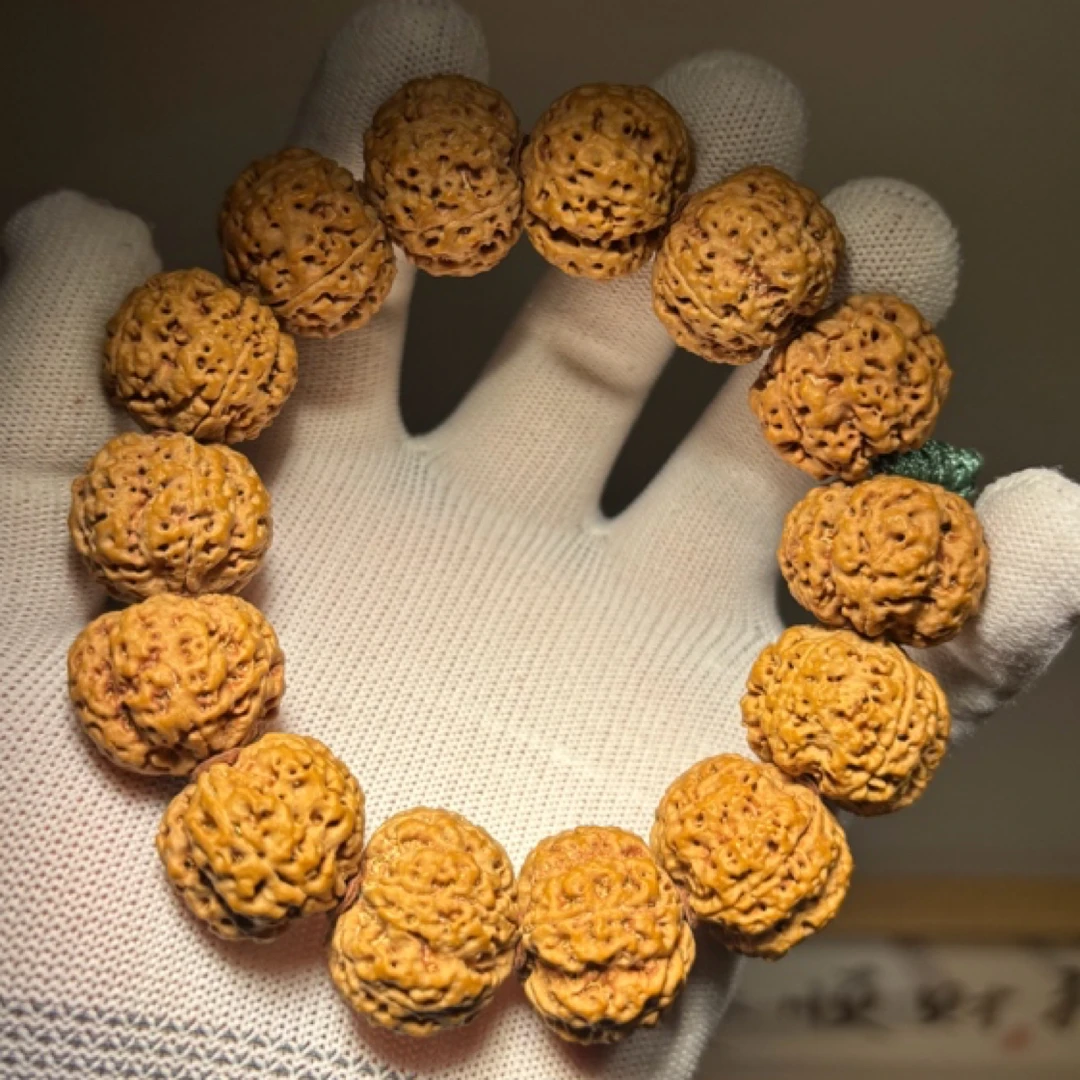 原生态大金刚手持体验款