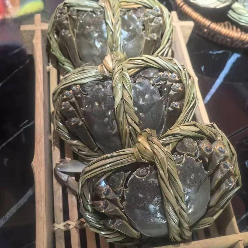 (小时达）鲜活精品母蟹2.7-3.0两1只装