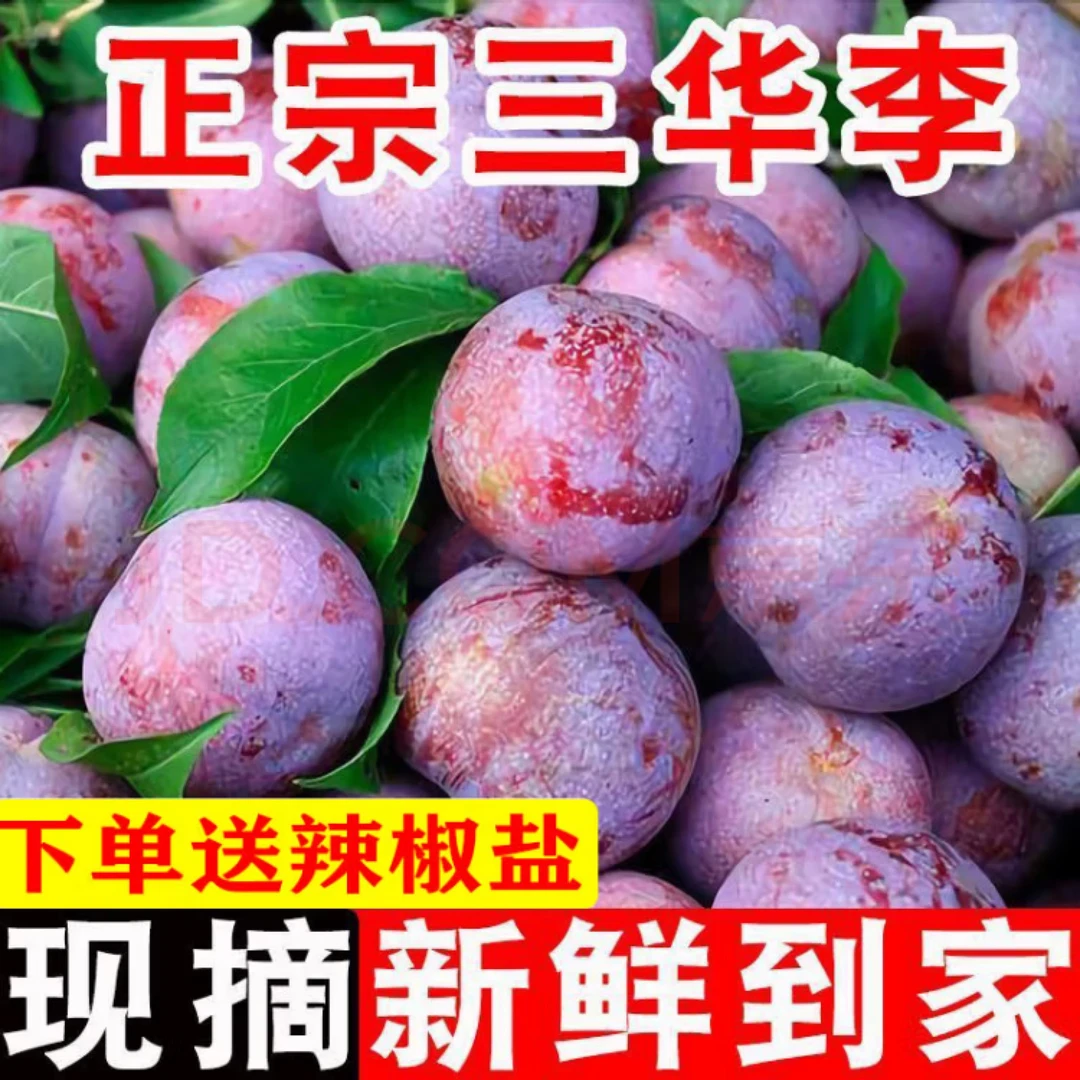 【抢购中】正宗三华李脆酸甜多汁高山红心李子现摘当季孕妇水果酸嘢