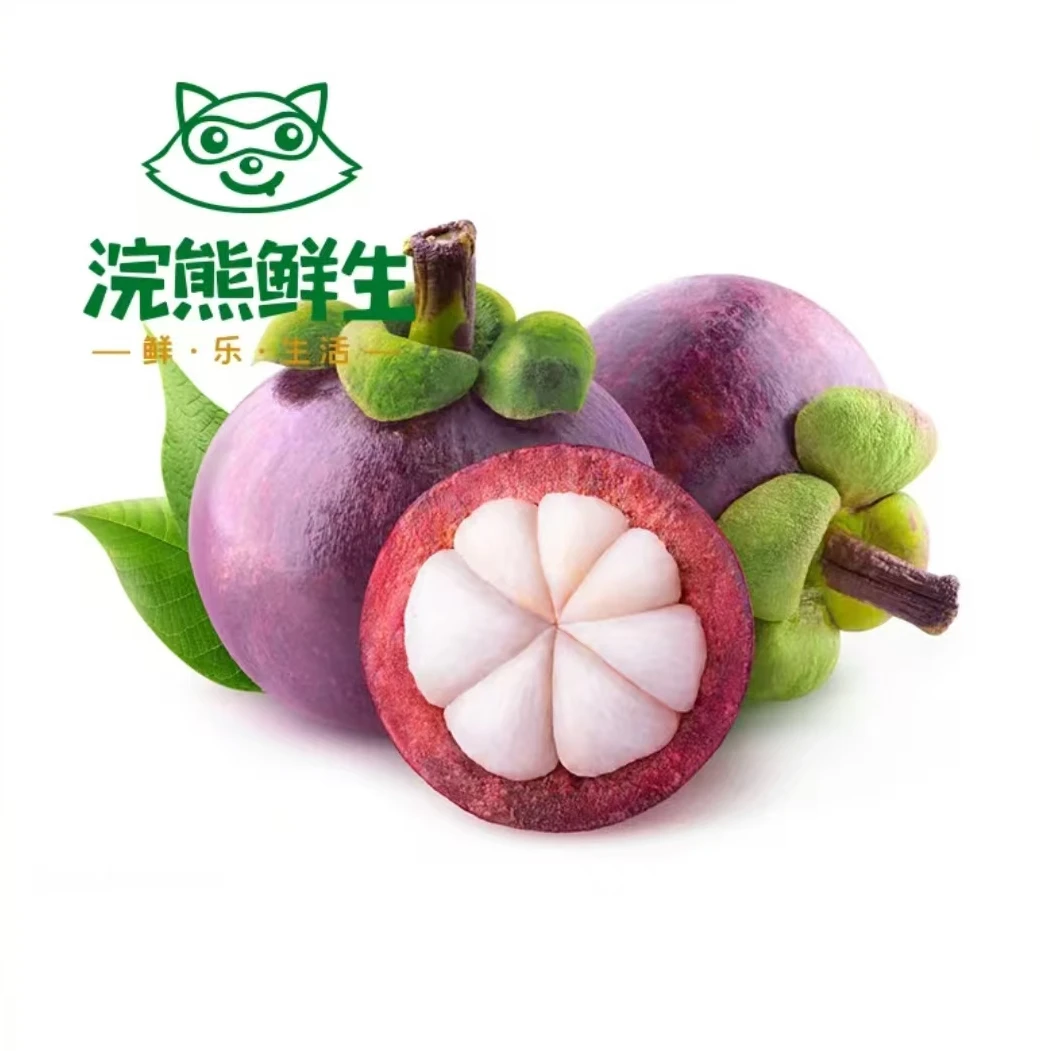 【整果】精品山竹.约500g