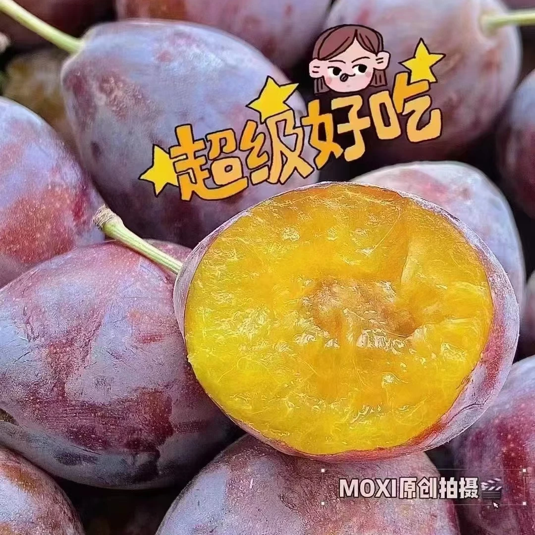 超甜西梅一斤
