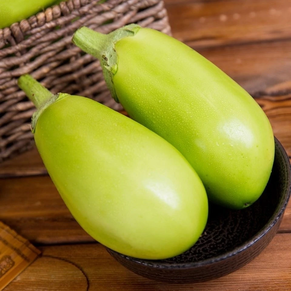 新鲜东北绿茄子绿色小茄子现摘现发青茄子农家自种肉末【顺丰包邮】