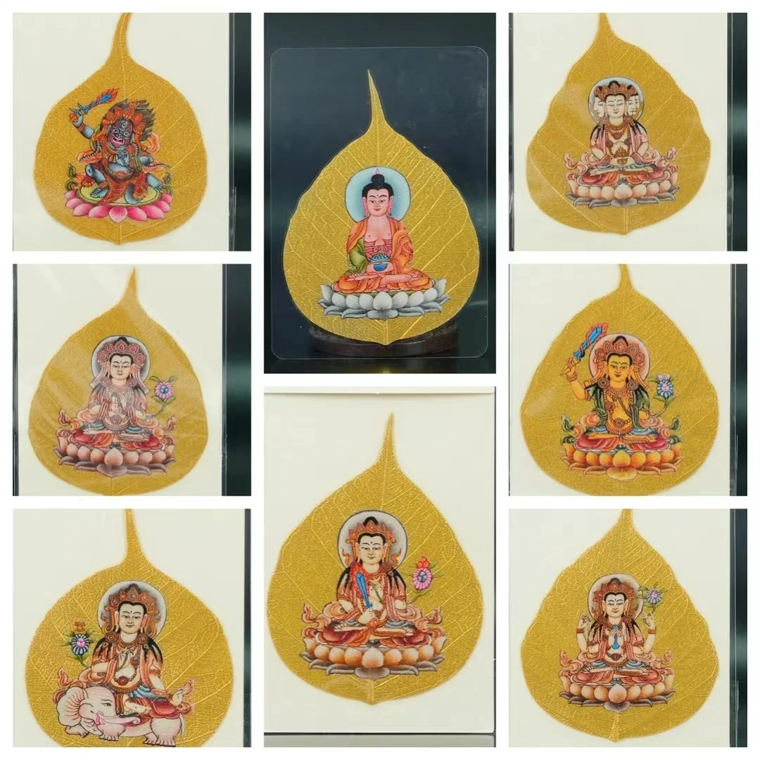 老掌柜】八大/菩提叶 BBI121201