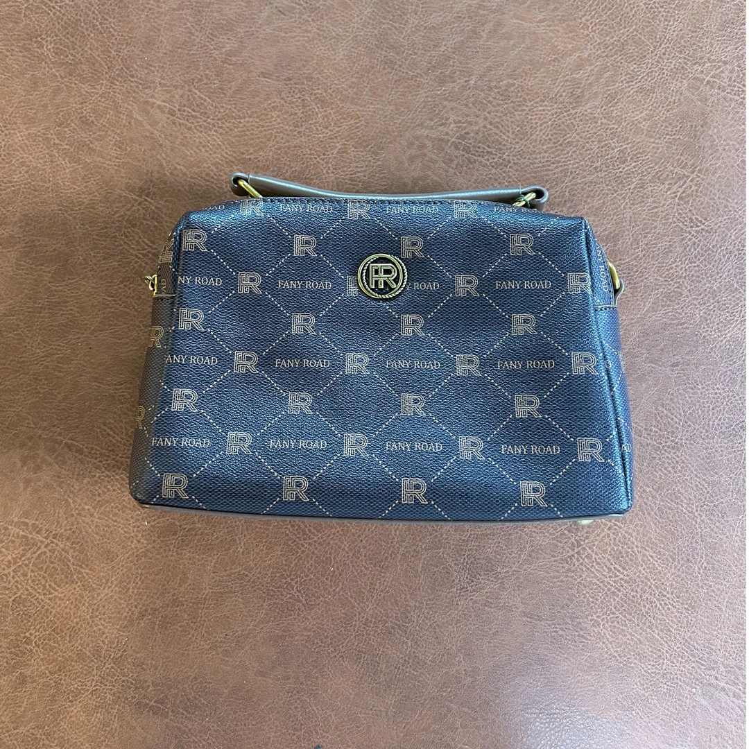 2024潮流新款高级感手提单肩斜挎通勤轻奢休闲女士包包