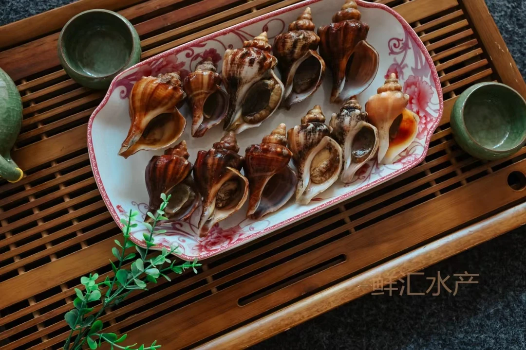 深海薄皮海螺肉肥饱满三斤起包鲜包活