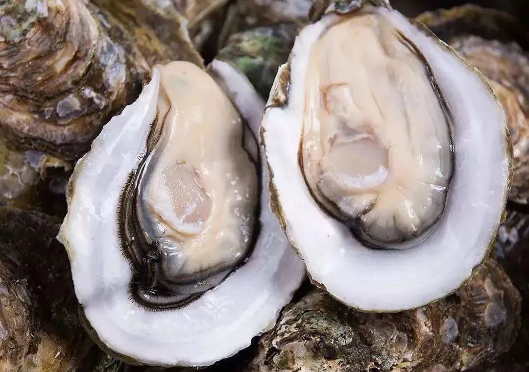 东港生蚝，保鲜保活超肥5斤装17个左右无泥无沙顺丰包邮