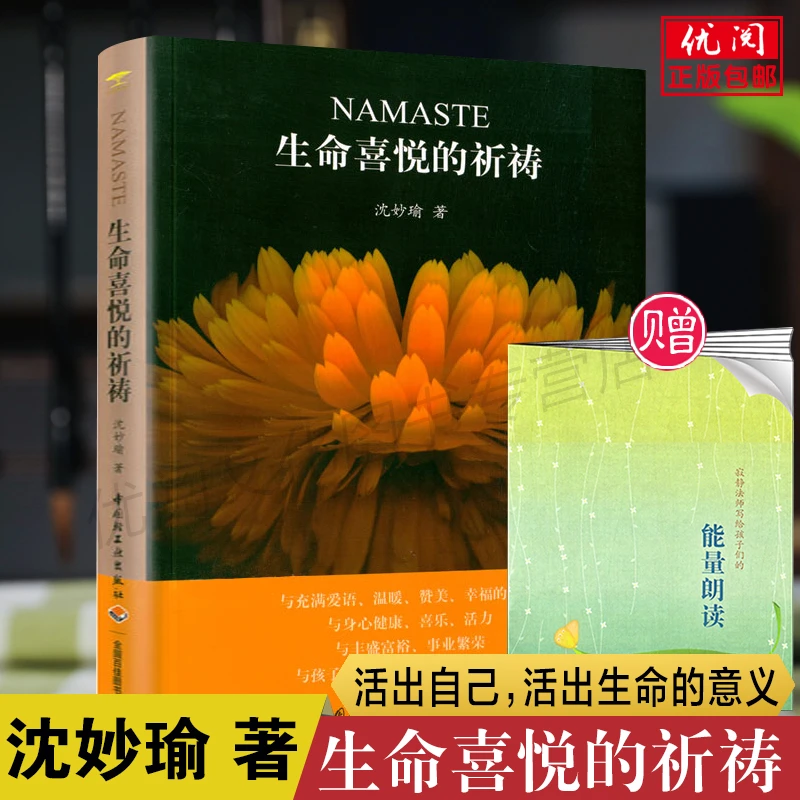 生命喜悦的祈祷正版 沈妙瑜著  NAMASTE 2017版 赠送能量朗读