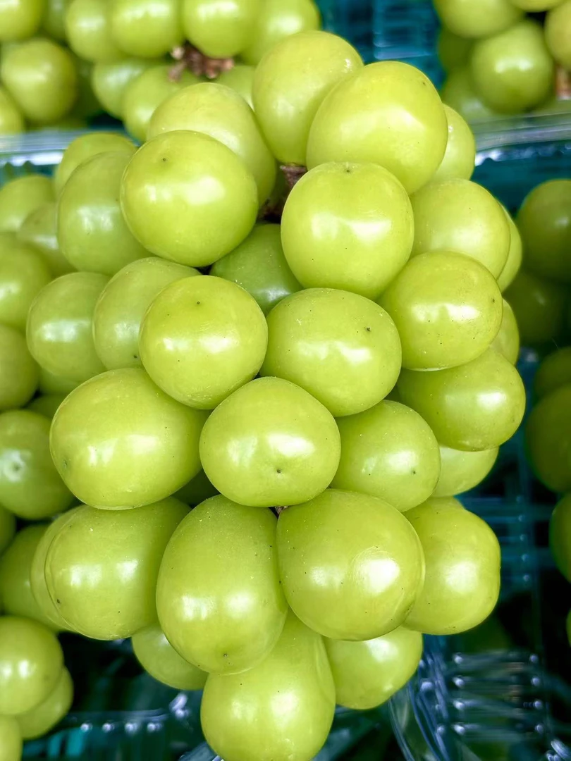 晴王葡萄新鲜