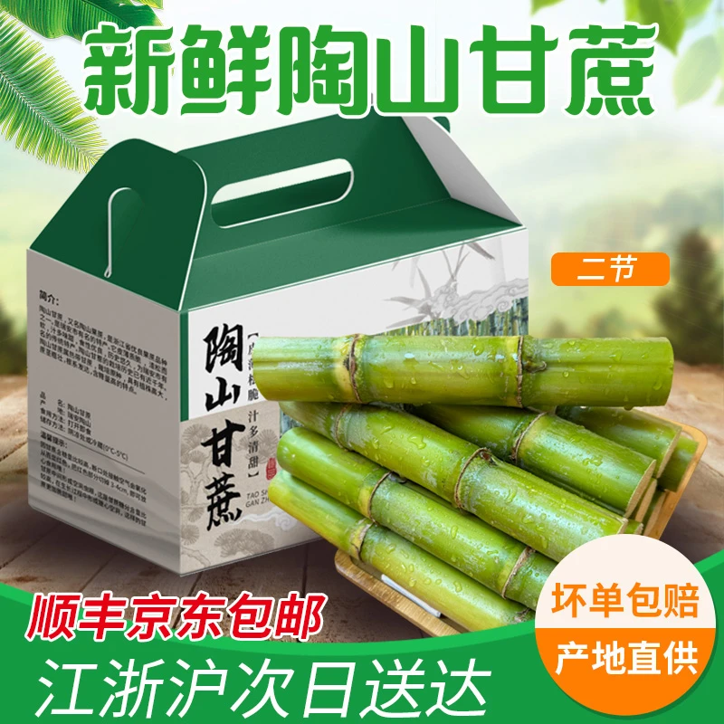 新鲜陶山甘蔗两个节精品青皮绿皮水果温州特产脆甜清甜