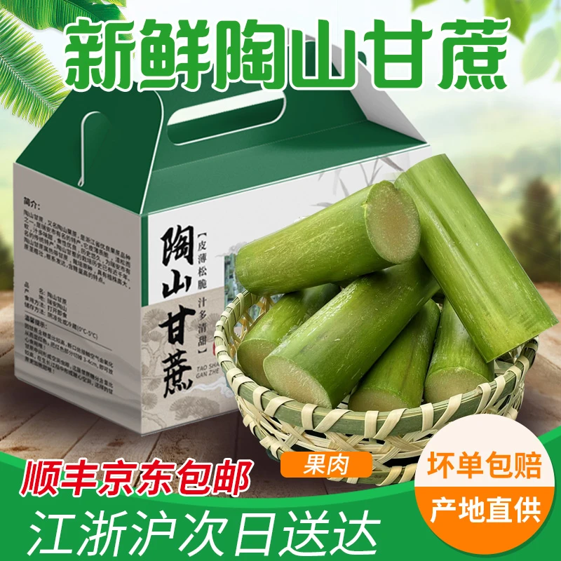 无节切段果肉3斤5斤正宗浙江陶山甘蔗青绿皮应季清甜水果口感皮薄