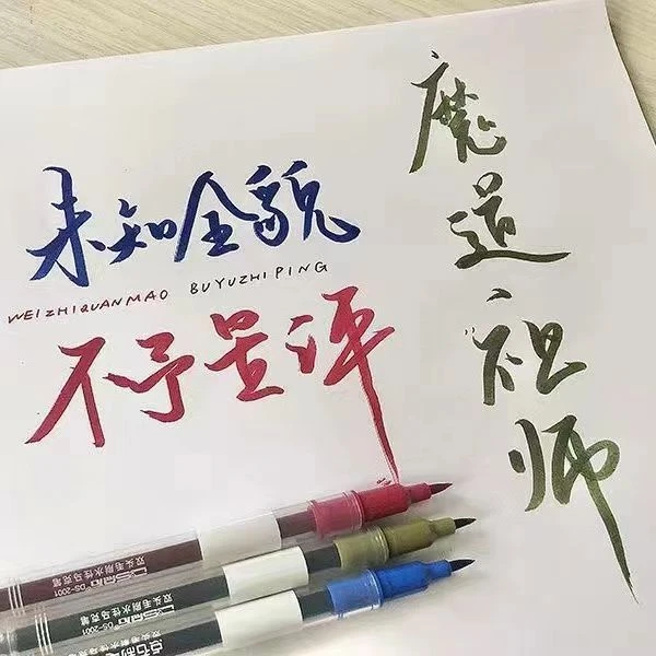 点石点石DS2001弹性双头手账笔毛刷笔学生酒红批改作业水性双头笔