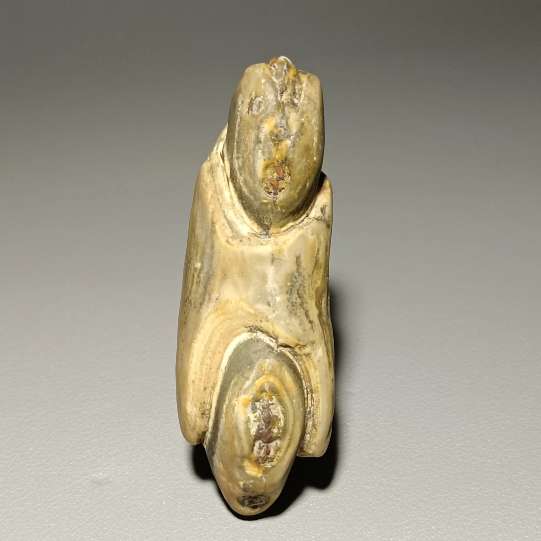 阿拉善筋脉石 戈壁石 沙漠漆原石付米链接