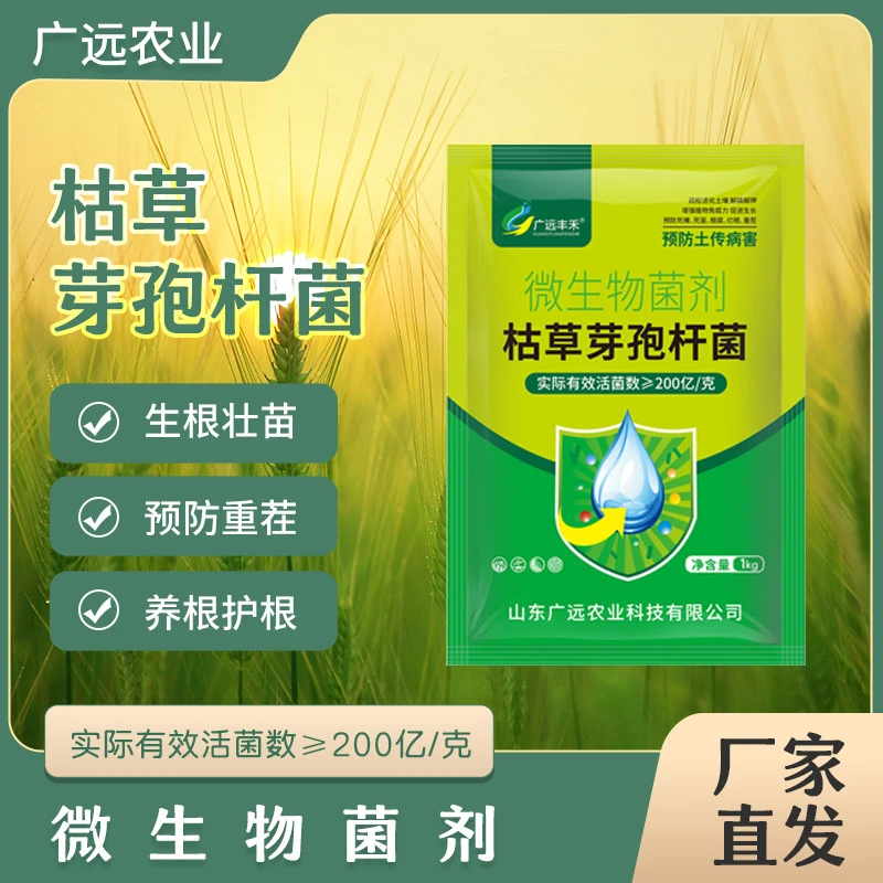 广远丰禾枯草芽孢杆菌农用微生物菌剂生根养地防根腐土壤活化厂家