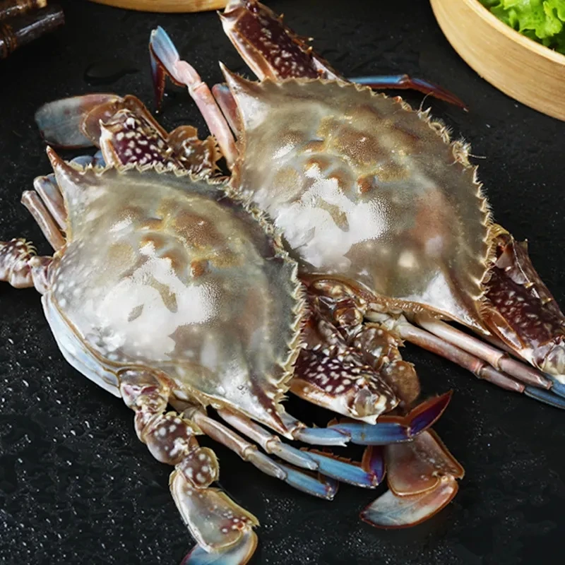 【鲜活打氧】梭子蟹500g(约3-4只)