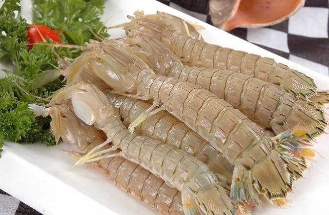 【鲜活打氧】皮皮虾/爬爬虾/虾蛄/濑尿虾500g/份