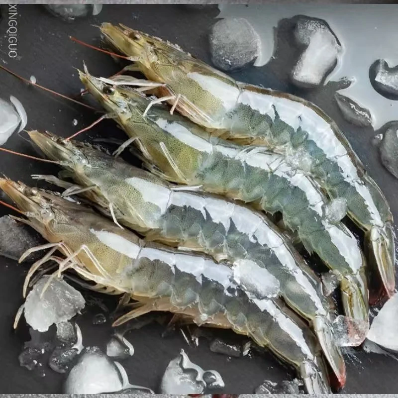 【鲜活打氧】大明虾 250g