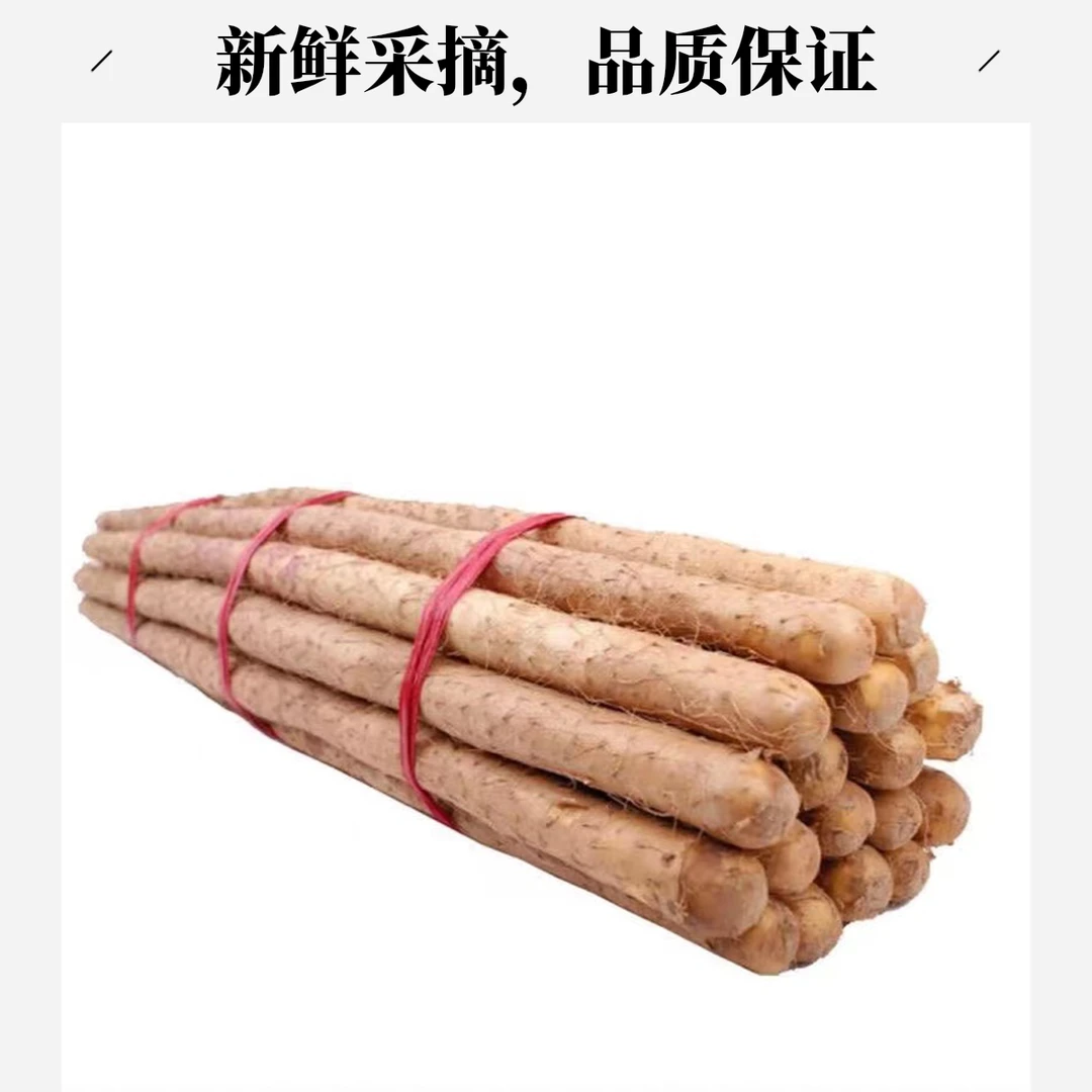 40-60cm小白嘴山药营养丰富软糯香甜小根小果净重4.5斤带箱五斤