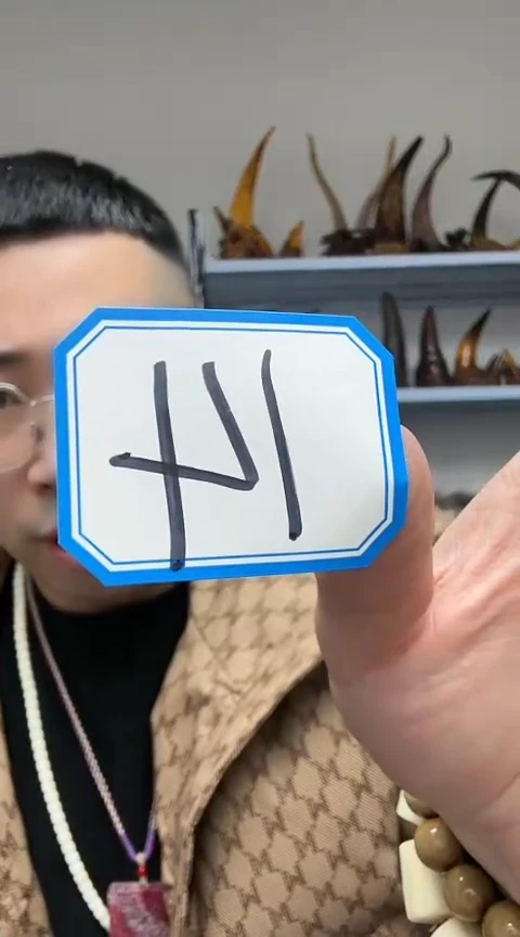 【闪购商品】工艺品根雕14